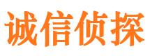 金山屯侦探社